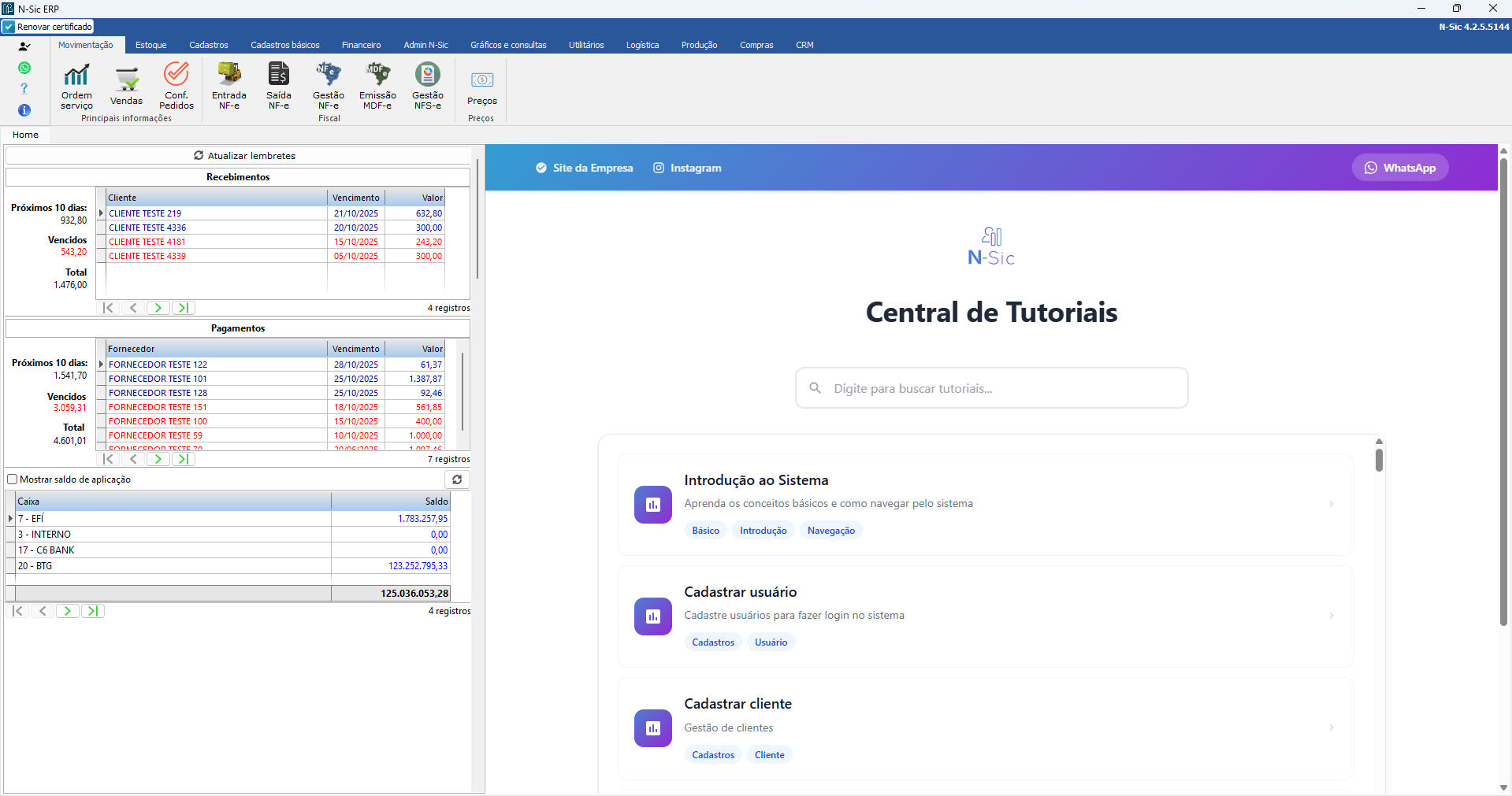 Tela principal do sistema N-Sic ERP mostrando dashboard e menu de navegação